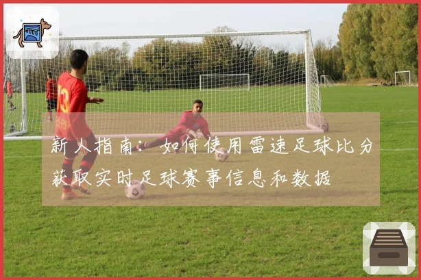 新人指南：如何使用雷速足球比分获取实时足球赛事信息和数据