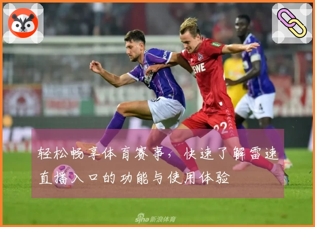 轻松畅享体育赛事，快速了解雷速直播入口的功能与使用体验